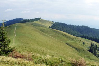 Dağlarda bir patika