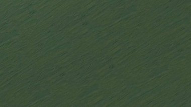 duvar kağıdı arkaplanı ya da kapak sayfası için beton dokusu köşegen yeşili