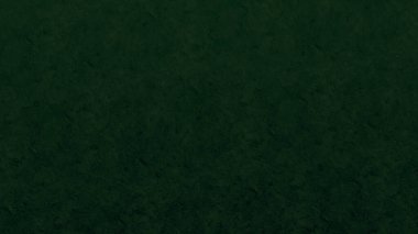 İç duvar kağıdı arkaplanı için duvar dokusu koyu yeşil