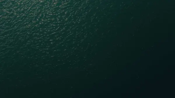 İç veya dış materyal için doğal koyu yeşil su dokusu