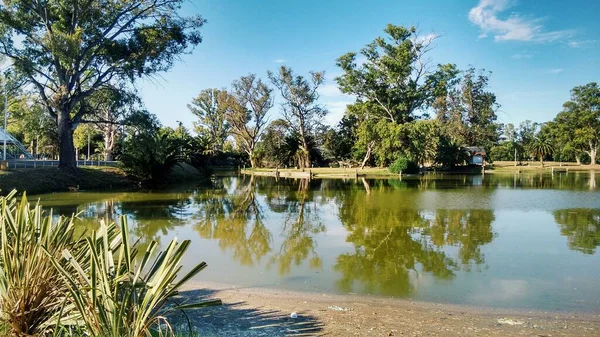 stock image Lagoon in park, palm trees, sky blue clouds