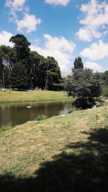 Yeşillikler arasında akan akarsu, mavi gökyüzü