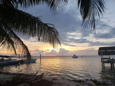  Gün batımında okyanusun üzerinde palmiye ağaçları 