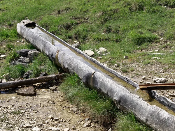 Acqua Potabile Canalone Legno Mucche Montagna Lungo Sentiero Escursionistico — Foto Stock