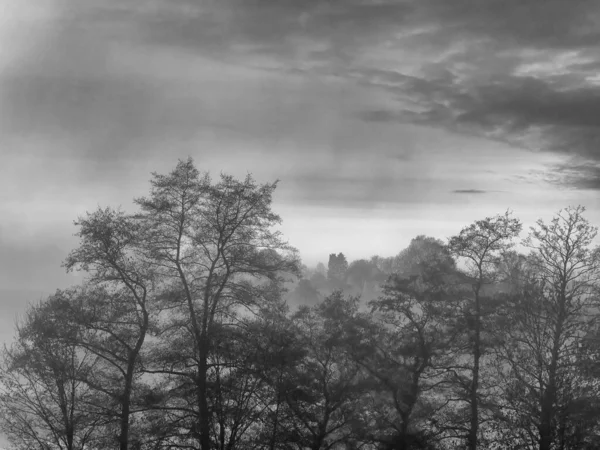 Kasım ayındaki sisli bir manzaranın siyah beyaz fotoğrafı.