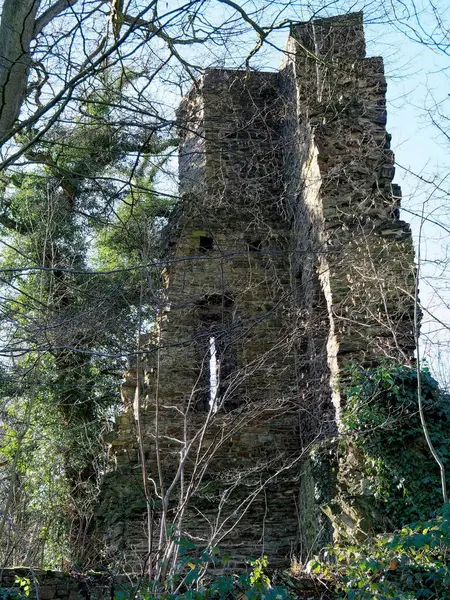 Almanya 'nın Essen-Kettwig kentindeki Kattenturm harabesi, 13. yüzyılın eski kalesi Luttelnau şövalye koltuğundan geriye kalanlar.