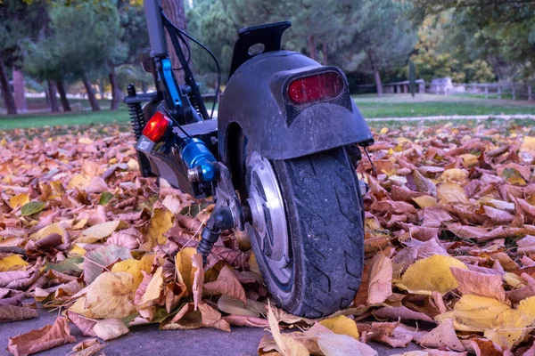 Sonbaharda parkta elektrikli scooter.