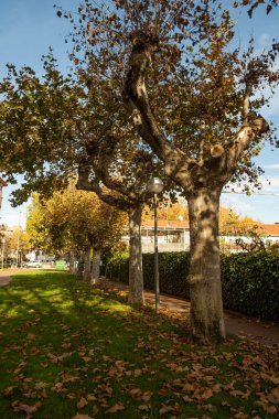 Bir çitin üzerindeki asma kilidin yaklaşımı