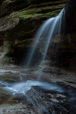 Uçan beyaz bir kuş