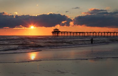 Uçan beyaz bir kuş