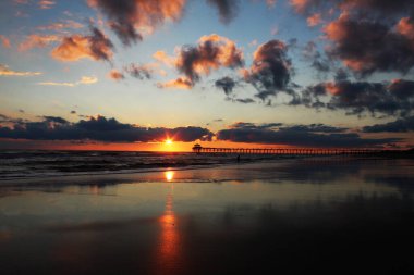 Uçan beyaz bir kuş