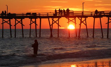 Uçan beyaz bir kuş