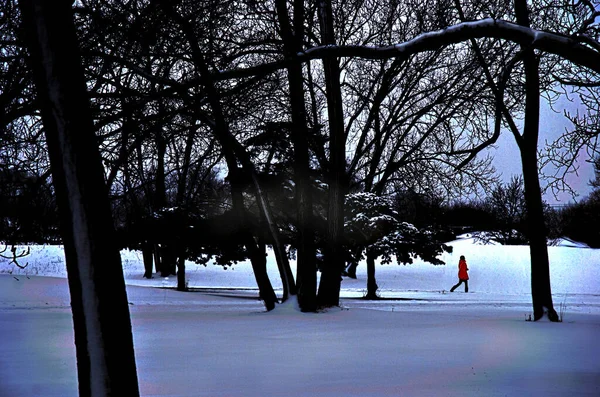 Eine Person Roten Mantel Geht Nach Einem Schneefall Durch Einen — Stockfoto