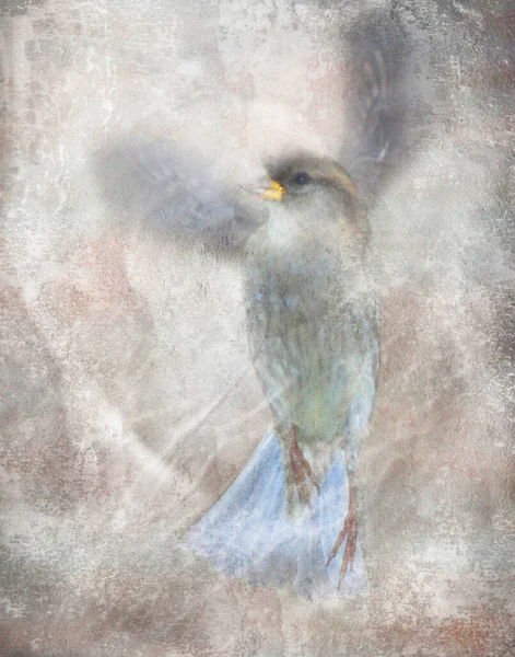 Kanatları Havada Uçan Beyaz Bir Kuş — Stok fotoğraf