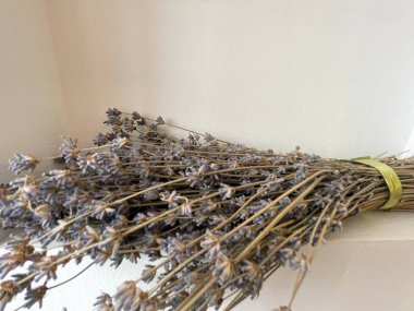 a close up of a bunch of dry branches of an old wooden chair