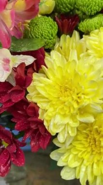 beautiful flowers grow and bloom on a street flower bed