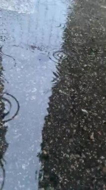 Yağmur siyah gri asfalta damlıyor.