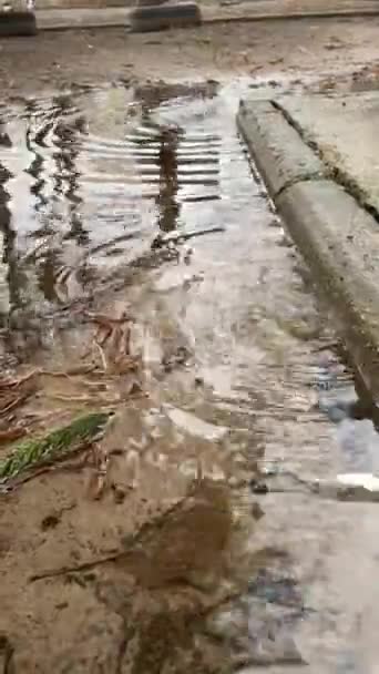 雨水中的褐色边沿 — 图库视频影像