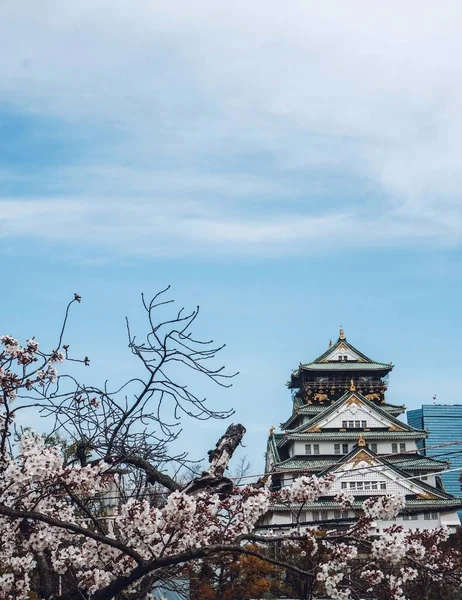 Osaka Castle Spring Cherry Blossom Starting Bloom — Stock Photo, Image