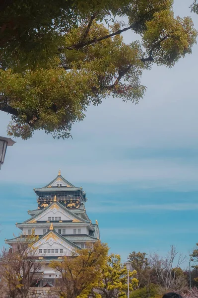 Осакський Замок Навесні Квітка Вишневого Цвіту Починає Цвісти — стокове фото