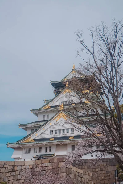 Κάστρο Οσάκα Την Άνοιξη Άνθη Κερασιάς Αρχίζουν Ανθίζουν — Φωτογραφία Αρχείου