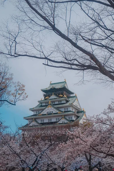 Istana Osaka Pada Musim Semi Dengan Bunga Sakura Mulai Mekar — Stok Foto