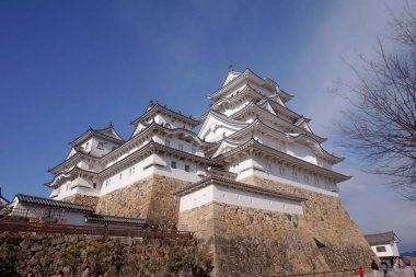 Himeji Şatosu, Osaka, Japonya - Baharda Himeji Şatosu Kale zemininden alınan kiraz çiçekleriyle çevrili