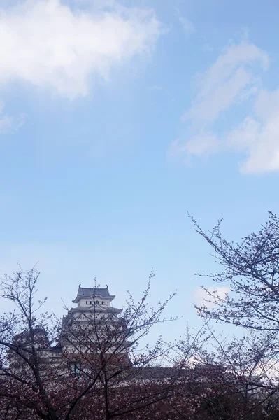 Istana Himeji Osaka Jepang Istana Himeji Pada Musim Semi Dikelilingi — Stok Foto