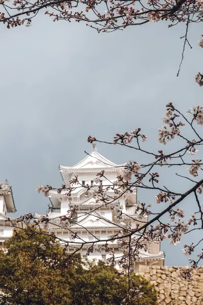 Himeji Castle Osaka Japan Himeji Castle Spring Surrounded Sakura Cherry — Stock Photo, Image