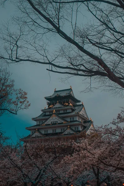 April 2019 Osaka Japan Osaka Castle Taken Spring Surrounded Sakura — Stock Photo, Image