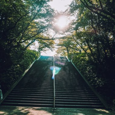 Yeşil ağaçların ve güneş ışınlarının olduğu bir parkta merdiven.