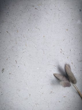 Yerdeki kuru yaprak, arkaplan