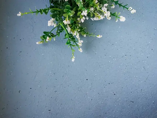 Gri taş arkaplanda kopyalama alanı olan bahar çiçeği