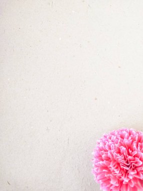 Grunge kağıdının üzerinde fotokopi alanı olan pembe karanfil çiçeği