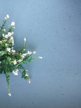 Güzel botanik fotoğrafı, doğal duvar kağıdı.