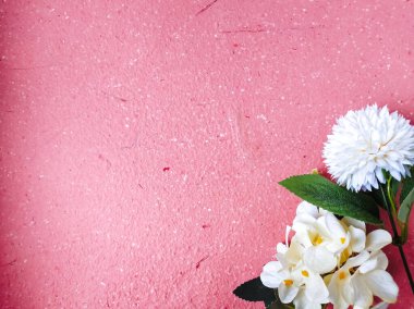 Beyaz ahşap arka planda güzel pembe bahar çiçekleri. bahar konsepti.