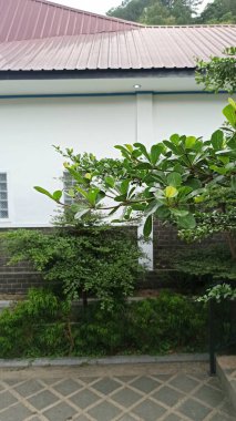 Parkın güzel manzarası