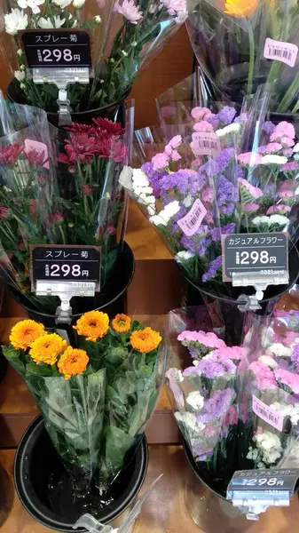 Güzel botanik fotoğrafı, doğal duvar kağıdı. güzel çiçekler. 