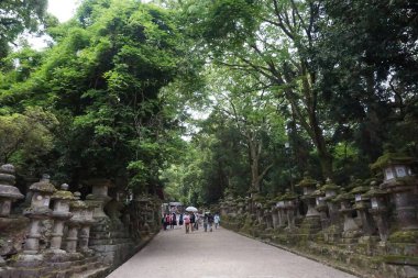 Şehrin en güzel manzarası. Arka plandaki en ünlü simge.
