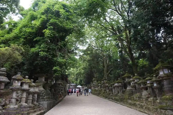 Şehrin en güzel manzarası. Arka plandaki en ünlü simge.