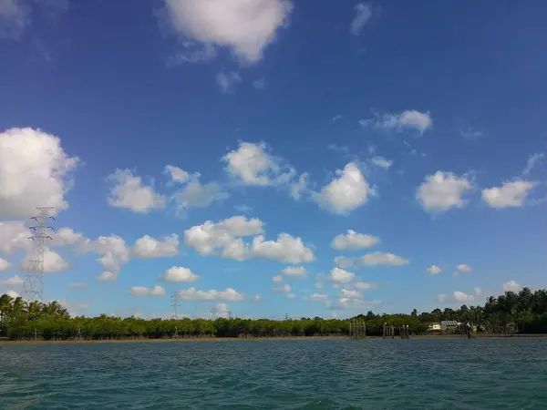Palmiye ağaçları ve mavi gökyüzü olan güzel tropikal plajlar. Güzel bir deniz manzarası. doğal arkaplan