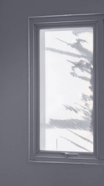 Bitkilerin silueti olan pencere