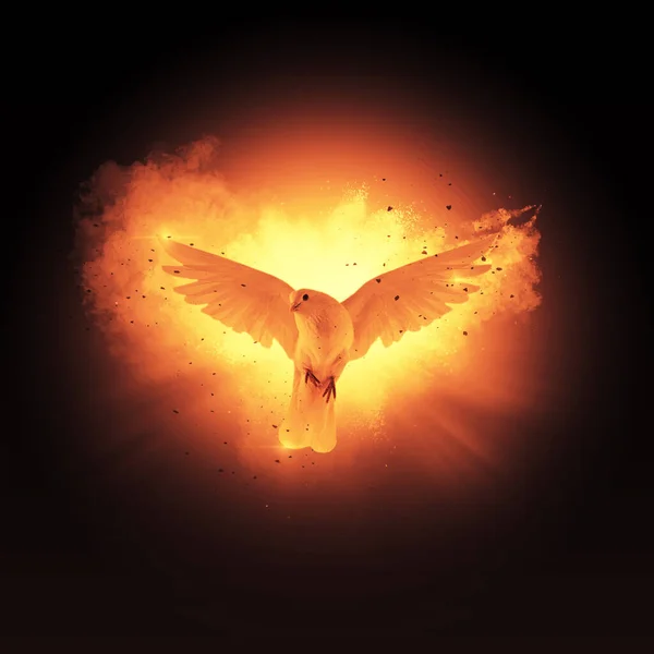 Heilige Geest Doop Duif Met Vuur Explosie Deeltjes — Stockfoto