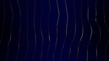 Lüks Arkaplan - Parlak Efektli Altın Noktalar (25sec 60fps Arkaplan)