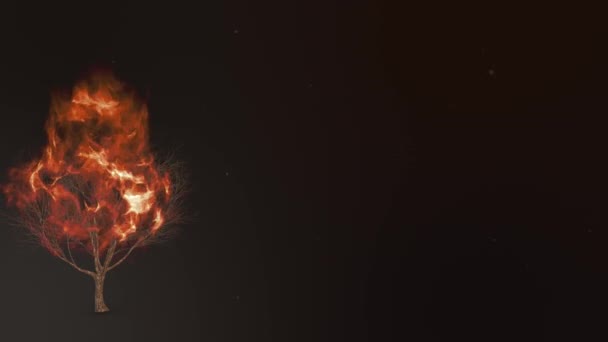 モーセとの神会議の存在を燃やす背景3Dイラスト 45Sec 60Fpsルーピングビデオ — ストック動画