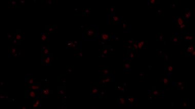 Kamera ekranına damlayan kan damlaları - Şeffaf Arkaplan (20sec 30fps Video)