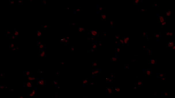Bluttropfen Tropfen Kamera Bildschirmglas Transparenter Hintergrund 20Sec 30Fps Video — Stockvideo