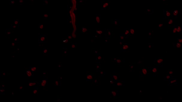 Bluttropfen Und Tropfen Tropfen Kamera Bildschirmglas Transparenter Hintergrund 20Sec 30Fps — Stockvideo
