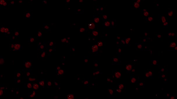 Bluttropfen Tropfen Kamera Bildschirmglas Transparenter Hintergrund 20Sec 30Fps Video — Stockvideo