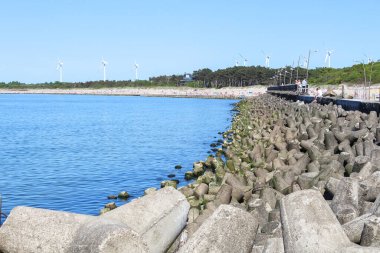 Tetrapodlar kıyı koruma yapılarında kullanılır.